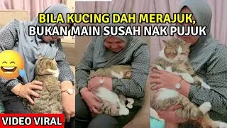 VIDEO KUCING MERAJUK DENGAN TUAN GARA2 KENA TINGGAL