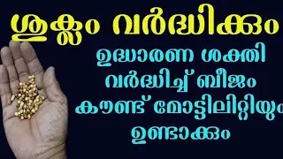 Best solution for low sperm count whatsapp 9562928207