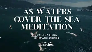 [SLOW DOWN & REST] Calming piano & Cinematic Strings for Study - Relaxation- Meditation