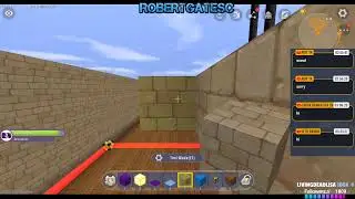 LIVE NOW (English): RobertGatesC Mini World: Block Art - Talk and Game Stream