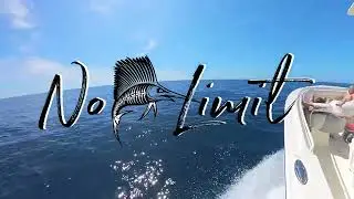 No Limit - Big Sailfish And More Offshore Charleston SC