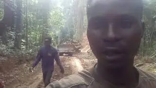 Blanson TV Adventures: Experience the rain forest of Ghana at Western Region Ghana