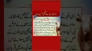 Hajj quotes #hajj#shortsfeed #quotes #best #islam #video #viralvideo #shorts #short#youtubeshorts