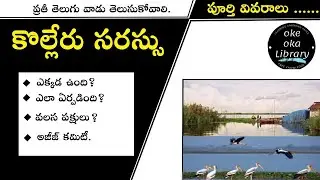 Kolleru Lake History in Telugu | Kolleru Lake Documentary | Tourism