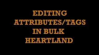 BULK EDITOR TOOL - EDIT MULTIPLE ATTRIBUTES OR TAGS ALL AT ONCE - HEARTLAND RESTAURANT POINT OF SALE