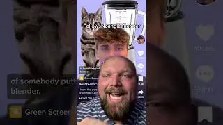 ВИДЕО КОТ В БЛЕНДЕРЕ!!!!