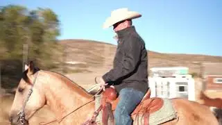 MAC 2015 AQHA Gelding by RMO horses