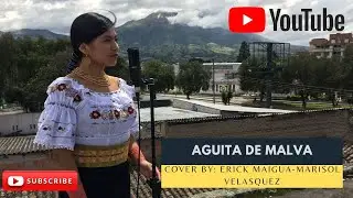 Detrás de una piedra (Yaraví-Albazo)