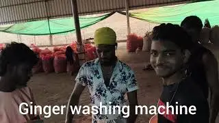 Ginger washing machine//अदरक धोने का मशीन #ginger #washing #machine #video #viral 