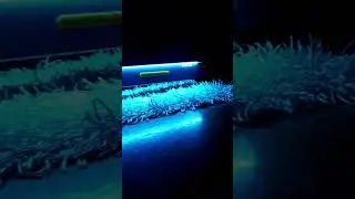 ePowerFun ePF-2 LED Light