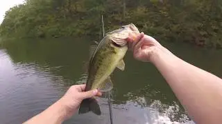 Catching Bass On a Hat Hook!! I Challenge Kendall Grey To Try This.