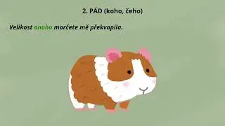 Skloňování UKAZOVACÍHO zájmena ONO (střední rod) | Čeština pro cizince (C1)
