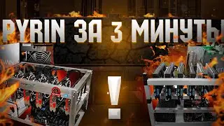 Майнинг PYRIN за 3 минуты