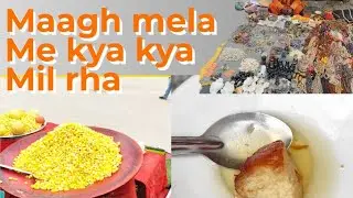 माघ मेला 2026 