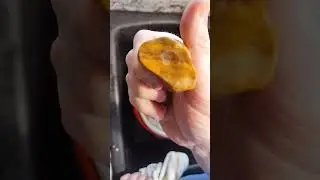 Yellow Jasper Stage One Review!
