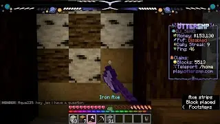 OtterSMP: Hallways and Conquering the Spider Queen Boss