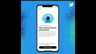 @twitter has officially launched NFT verification for profile pictures !