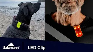 Salzmann | Clip-on LED Light