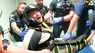 Женщина с титулом устроила настоящий хаос после того, как кто-то забрал её собаку