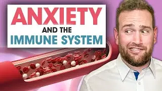 Can Anxiety affect my Immune System | Denver Brain Health Expert Explains