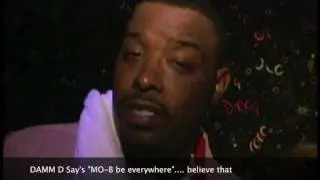 Damm D for mo b
