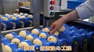 DENSO's high speed SCARA robot HSR-Series in a potatoes trimming application.