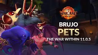 La MEJOR PET del BRUJO en cada SITUACI&Oacute;N | The War Within 11.0.5