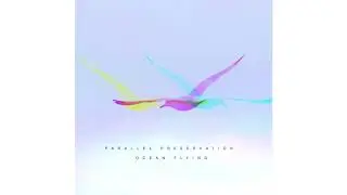 Parallel Preservation - Break Through [DTL Records]
