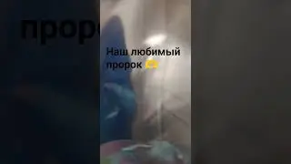#ислам #видио #пророк #аллах