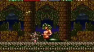 Super Castlevania 4 Stage 2
