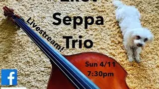 The Seppa Trio at Blue House Live