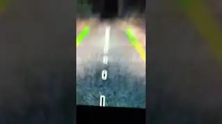 They hit a sasquatch with a car. Bigfoot chase