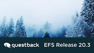 Webinar &diams; Questback EFS Release 20.3