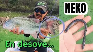 ☝️ Arreglo NEKO...para pescar lobina en DESOVE *  V&M Slim Wild