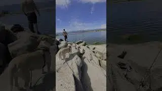 dewees resivor fishing