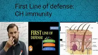 First Line of defense/Barrier/Layered: