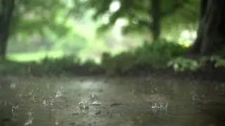 Slow Motion Rain Stock Footage No Copyright Video Roya 137 |  Видео без авторских прав | Free stock