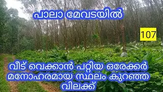 1 acre land for sale in pala mevada #landforsale #landsales #landforsaleinpalai #landatlowcost 107