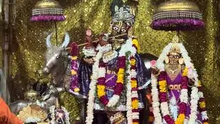 Govind DevJi  dhop jhanki Darshan| 19 January 2026#govinddevjitemple#bhajan#radha#shyam#vairalvideo
