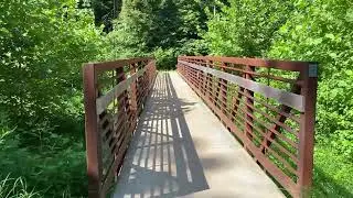 Stevens Creek Nature Preserve in Mint Hill, NC - Come Walk With Me and two grandsons (3 of 6)