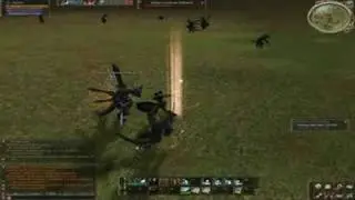 Lineage 2 Orc Raider fun
