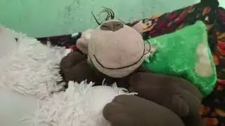Bearu ka Ghar #vlog #home 