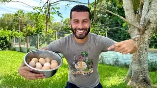 Finding All the Eggs on the RANCH! IRL