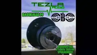 Bassnectar Ft. Lafa Taylor - Speakerbox (Slowed 31,41hz)