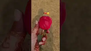 happy rose day 🌹 my  husband🌹 status 🌹🥰2023 happy rose day 🌹❤️ Sahyari #shorts#shayari status#4ksta.