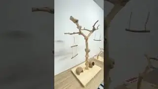 Coffee (java) wood tree stands for Birds size Large at Vpets Global company #parrot #treestands