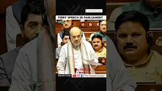 Rahul Gandhi || Fiery Speech in Parliament || The Political Leader #parliament #loksabha