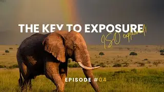 The key to exposure: Understanding ISO! | ORYX Photo Tours Episode 4
