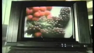 Emerson Electronics Commercial- 80s