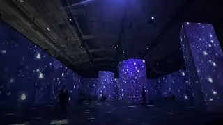 BEYOND Van Gogh the immersive experience